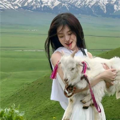 最后的迪斯科